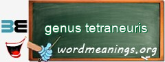 WordMeaning blackboard for genus tetraneuris